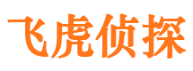 井陉县市婚外情调查